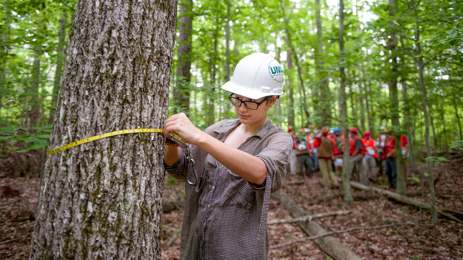 Measuring Trees - Academics - College of Natural Resources at NC State University