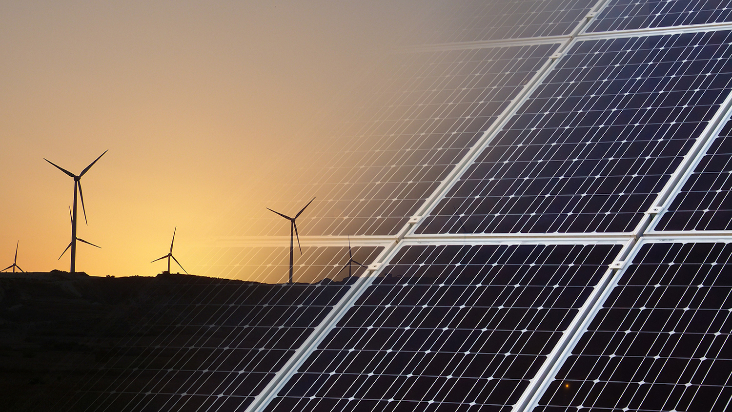 可再生能源 -  NC州现在提供可再生能源开发的在线研究生证书 - 北卡罗来纳州立大学自然资源学院必威中国官网