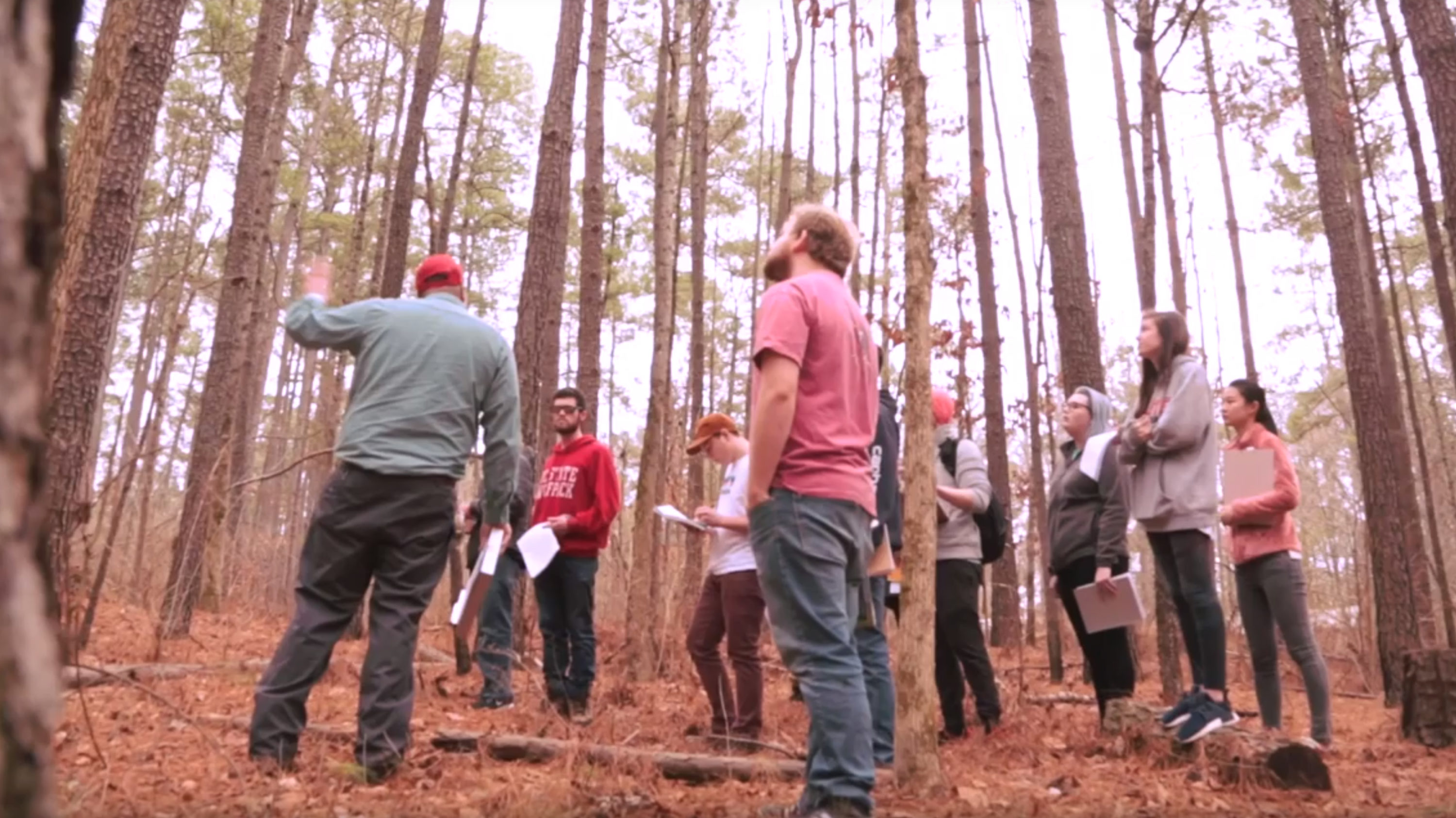 A group of students in a forest - Giving - College of Natural Resources NC State University