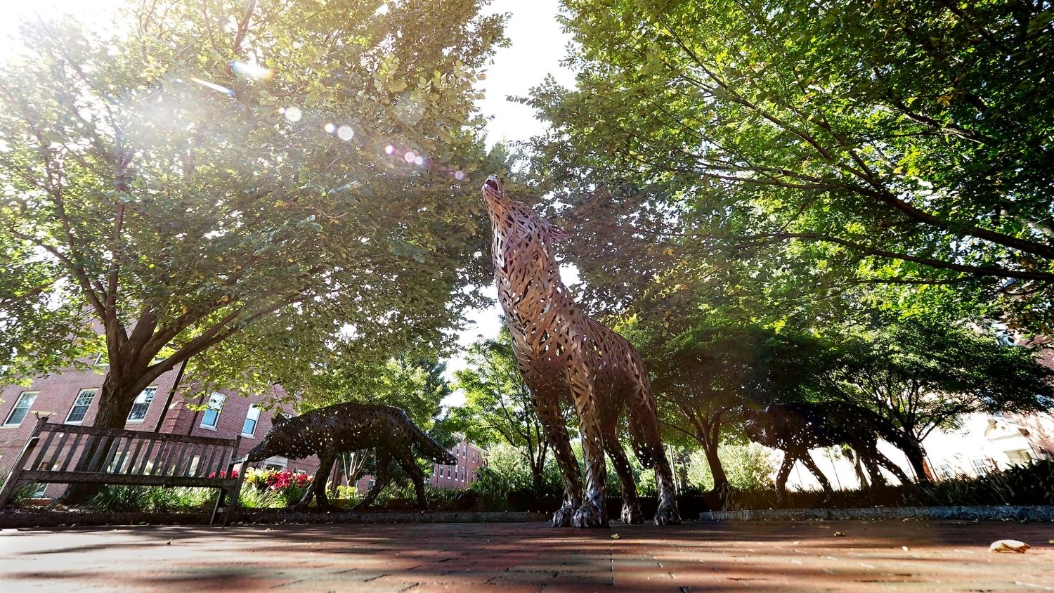 校园的狼雕塑 - 北卡罗来纳州立大学自然资源学院必威中国官网